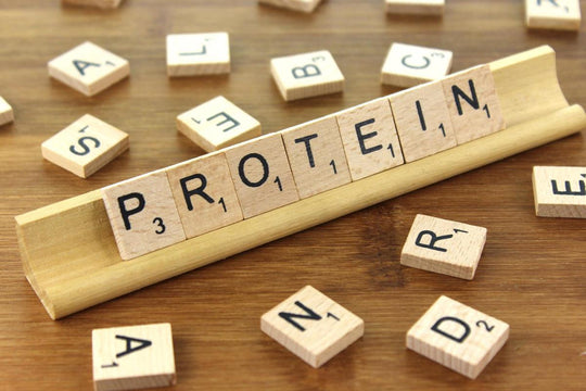 Protein: An Essential Guide for Youth Athletes